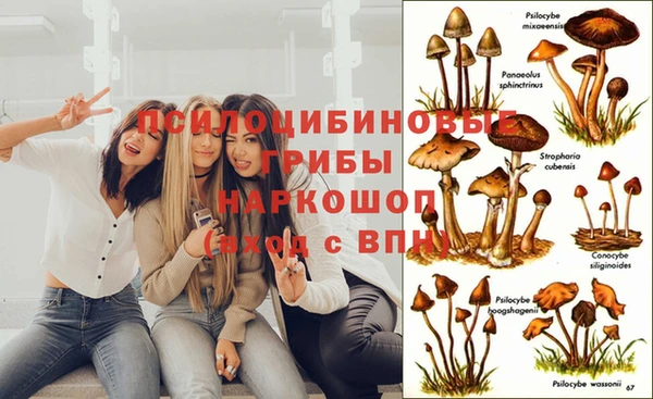 сатива Пестово
