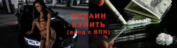 соль ск Щигры