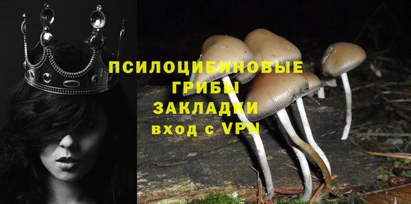 кристаллы Краснослободск