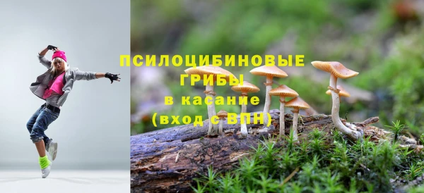 сатива Пестово