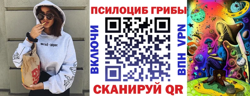 где можно купить   Андреаполь  Псилоцибиновые грибы Magic Shrooms 