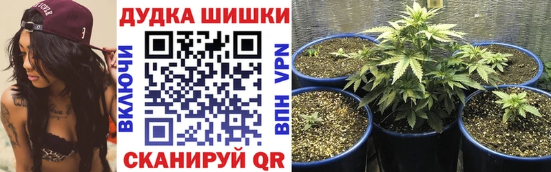 Марихуана семена  OMG сайт  Андреаполь  купить наркотики сайты 